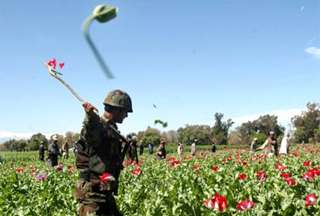NATO turning its Back on Opium Sales
