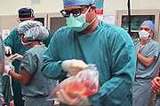 Qara transplantasiya məsələsi araşdırılır
