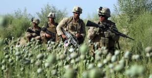 افغانستان میں برطانوی فوجیوں پر ہیروئن سمگلنگ کے الزام کی تحقیقات
