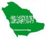 سعودی عرب،اقتدار کی رسہ کشی اور سیاسی اصلاحات