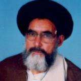 پاکستان کی مجبور اور غلام حکومت سے ہم کیا مطالبہ کر سکتے ہیں،علامہ عابد حسینی