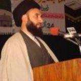 پاکستانی میڈیا کو پاراچنار میں جاری مظالم نظر نہیں آتے، سید راحت حسین الحسینی