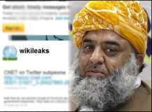 فضل الرحمن طالبان سے ڈیل میں کردار ادا کرنا چاہتے تھے، وکی لیکس