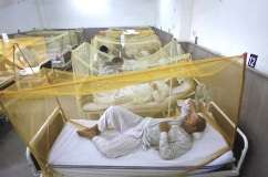 جنوبی پنجاب میں ڈینگی بخار کے باعث مزید کئی مریض ہسپتال داخل، ڈی جی خان میں 3 جاں بحق