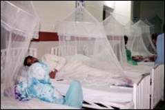 لاہور، ڈینگی وائرس سے آج مزید 9 افراد لقمہ اجل بن گئے، ہلاکتیں 46 ہو گئیں