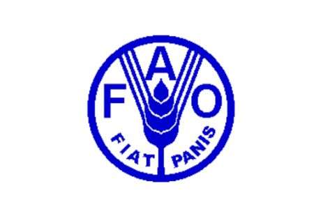 FAO marks 60 years of fighting hunger