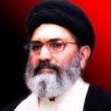 انتظامیہ عزاداری کی راہ میں رکاوٹیں کھڑی کرنے سے اجتناب کرے، علامہ ساجد نقوی