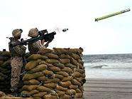 US sells stinger missiles to India