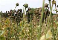 ‘US marines involved in Afghan drug trade’