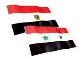 Why did Egypt withdraw its ambassador from Damascus?!