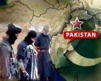 کالعدم تحریک طالبان پاکستان شدید اندرونی اختلافات کا شکار
