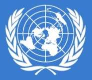 افسپا غیر قانونی ہے، کشمیر میں اس کے لاگو رہنے کا کوئی جواز نہیں، اقوام متحدہ