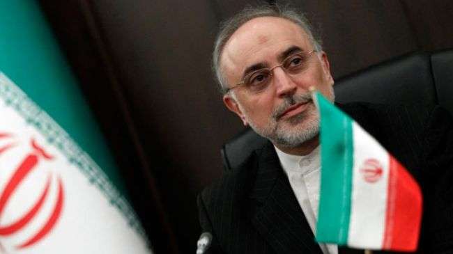 Salehi: Iran, P5+1 reached common understanding