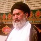 حکمران ملک میں امن و امان کے قیام میں غیر سنجیدہ ہیں، علامہ ساجد نقوی