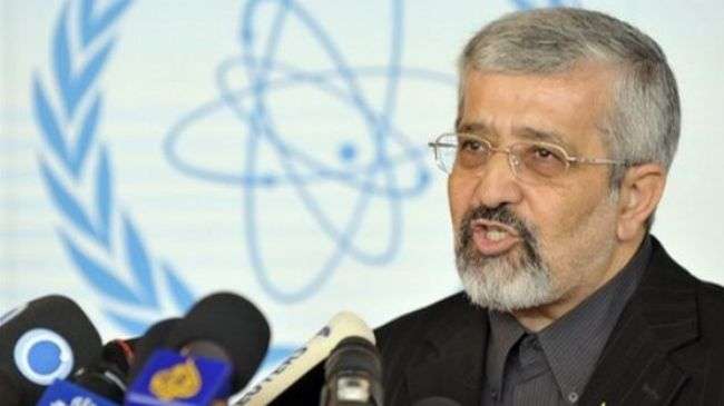 Iran, IAEA to hold talks in Vienna May 13-14: Soltanieh