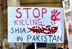 پنجاب میں اہل تشیع کی ٹارگٹ کلنگ بند کی جائے،شیعہ شہریان پاکستان