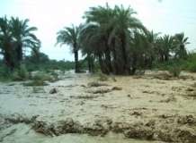 خیبر پختونخوا کے مختلف دریائوں میں سیلاب کی وارننگ جاری