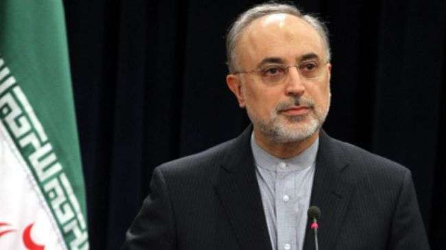 Salehi meets FMs, officials from NAM member states