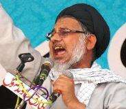 شیعہ نسل کشی کے خلاف اب انتہائی اقدام کریں گے، علامہ حسن ظفر نقوی