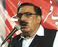 پاکستان پیپلز پارٹی سندھ کی قیادت مکمل طور پر بے بس ہے، شاہی سید