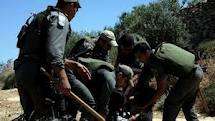 Armed Israeli settlers attack Palestinian farmers