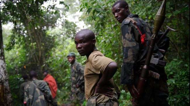 M23 rebels walk through the jungle in the Democratic Republic of the Congo