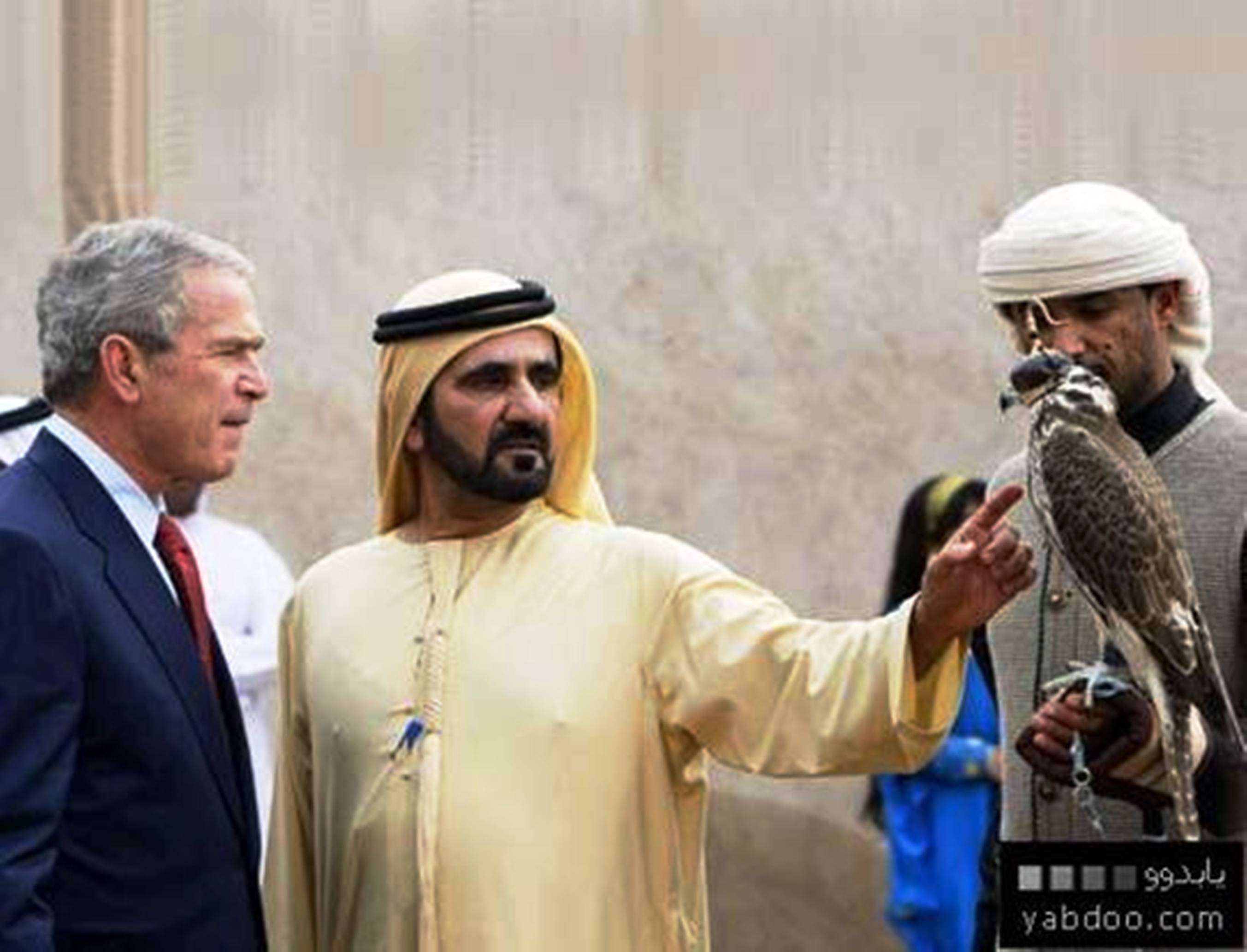 جواب میں عرب شہزادہ قیمتی عقاب کا تحفہ دے رہا ہے