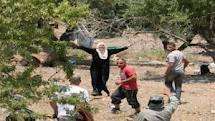 Israeli settlers attack old Palestinian farmer