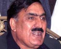 عوامی نیشنل پارٹی سندھ اس سال قربانی کی کھالیں اکٹھا نہیں کرے گی، سینیٹر شاہی سید