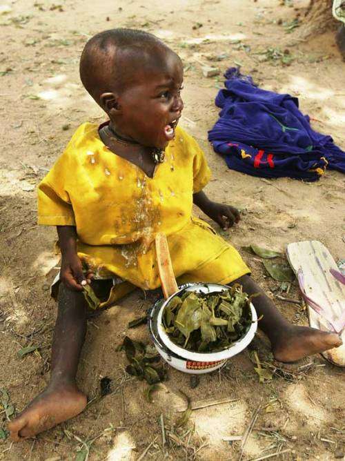 دوسری طرف افریقہ میں خوراک نہ ملنے سے بلکتے معصوم بچے
