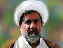 شیعہ سیاسی نظام میں مارشل لاء اور ڈنڈے کی حکومت قابل قبول نہیں، علامہ ناصر عباس