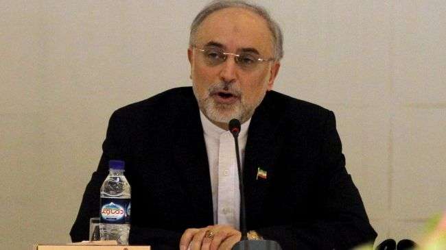 Iran and Egypt have strong ties: Iranian FM