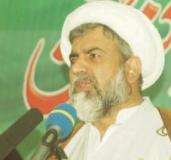 وطن عزیز کو نقصان پہنچانے والی منظم قوتوں کا توڑ کرنے کیلئے اکٹھے ہوجائیں، علامہ ناصر عباس