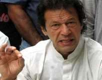 عوام نے عام انتخابات میں ڈرون مخالف پالیسیاں رکھنے والی پارٹیوں کو منتخب کیا، عمران خان