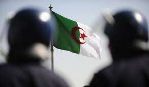 Qaeda Officials Killed in Algeria Ambush