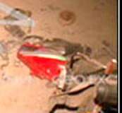 کراچی، لیاری میں موٹر سائیکل میں نصب بم پھٹنے سے 11 بچے جاں بحق، 24 سے زائد افراد زخمی