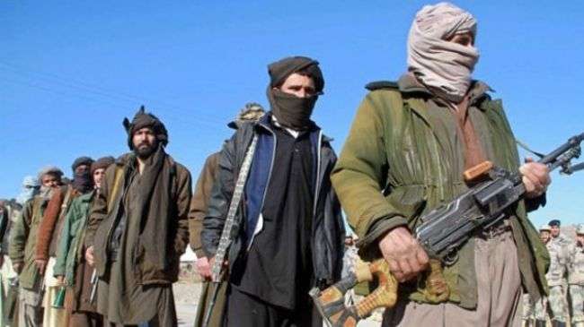 Pakistan politicians back calls for peace talks with Taliban