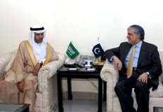 وزیرخزانہ اسحاق ڈار سے سعودی سفیر کی ملاقات