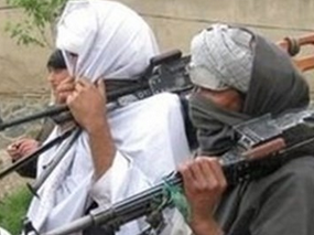 طالبان پاکستان پیشنهاد صلح دولت را بررسی می کند
