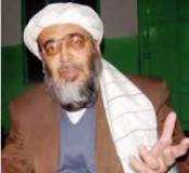 ڈرون حملے اسی وقت ہوتے ہیں جب پاکستان معلومات دیتا ہے، حافظ حسین