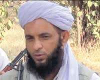 منور حسن کے بیان کا خیرمقدم کرتے ہیں، پنجابی طالبان