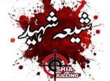 ڈیرہ اسماعیل خان، دہشتگردوں کی فائرنگ سے 2 اہل تشیع شہید