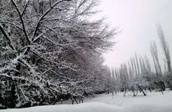 بلتستان بھر میں دوسرے روز بھی شدید برفباری جاری