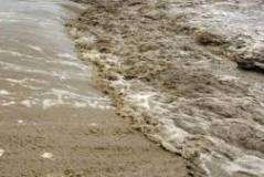 دریائے سندھ کے شرقی کنارے پر سپر بند متاثر