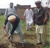 ایم ڈبلیو ایم ضلع ایبٹ آباد کے زیر اہتمام شجر کاری مہم کا آغاز