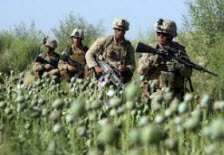 غرب مواد مخدر را در افغانستان گسترش داده اس