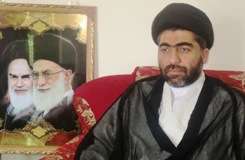 اداروں میں موجود چند عناصر شیعہ کلنگ میں ملوث ہیں،  علامہ سبطین حسینی