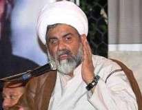 آئندہ ایک سال کے اندر ہر شیعہ گھر تک ہمارا پیغام پہنچ جائے گا، علامہ ناصر عباس جعفری