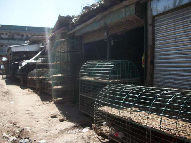پاراچنار میں پولٹری کام کرنے والوں کا ہڑتال، بند مرغی اور چکن روسٹ فروشوں کے دکانوں کا منظر