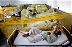 کراچی، محکمہ صحت ڈینگی وائرس سے نمٹنے کی حکمت عملی نہ بنا سکا